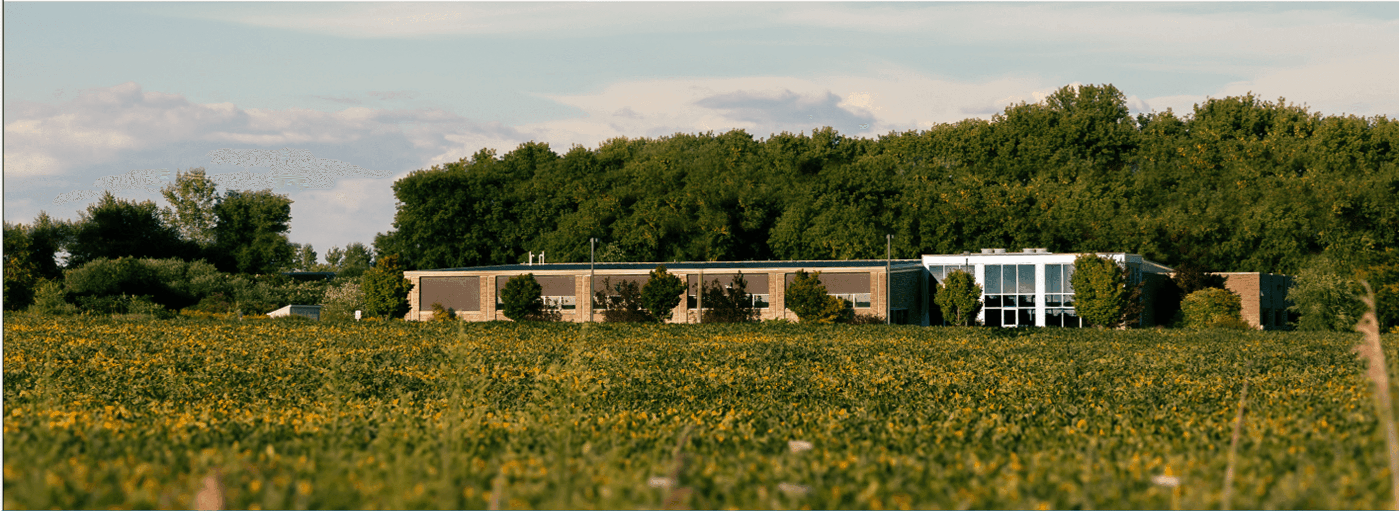 Audioscan Building Wide 1.png